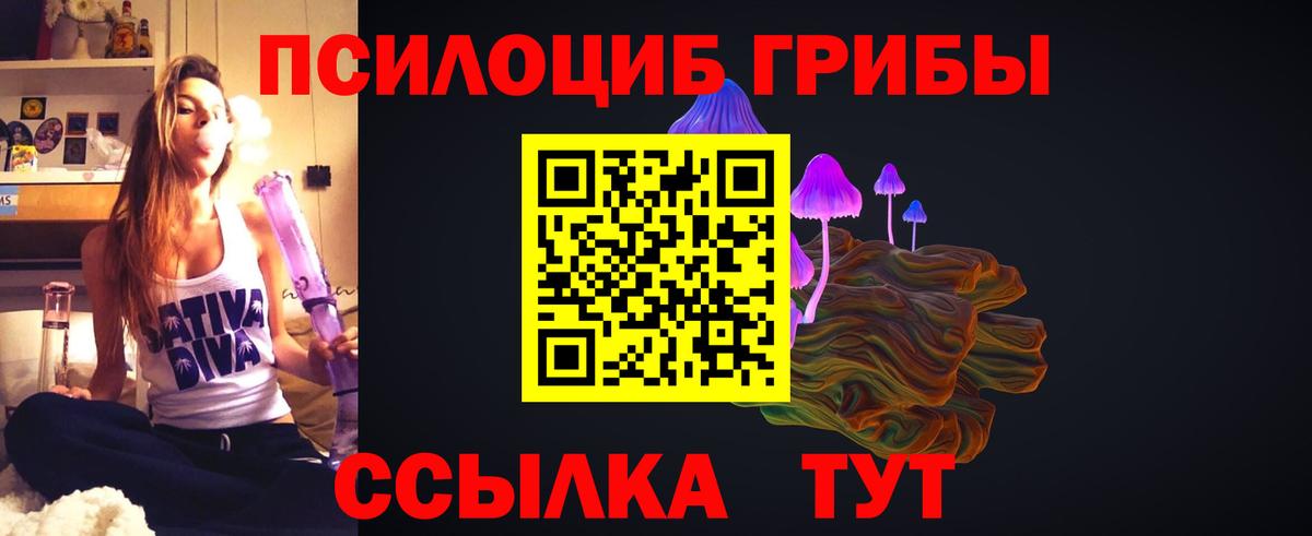 Галлюциногенные грибы Psilocybe  Вход с VPN  Королёв 